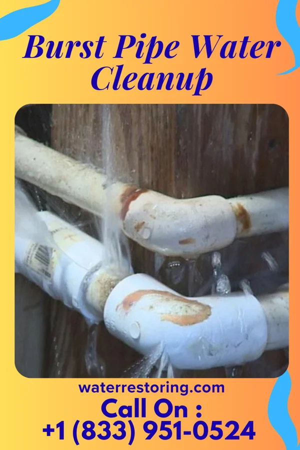 Burst Pipe Water Cleanup in Richmond, MO