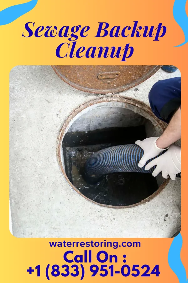 Sewage Backup Cleanup in Richmond, MO