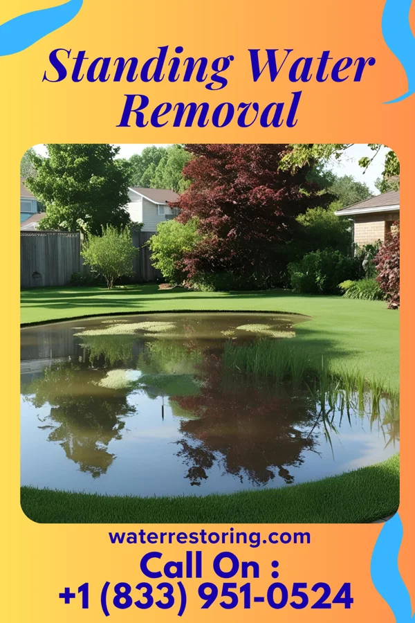 Standing Water Removal in Richmond, MO